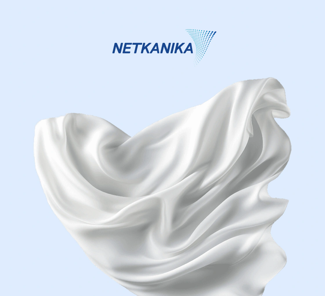 NETKANIKA: Корпоративный сайт