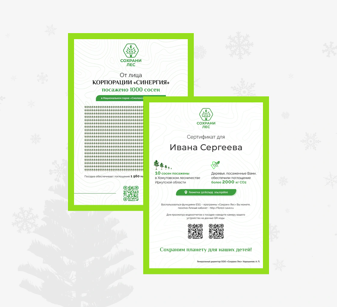 СОХРАНИ ЛЕС: Экологический сервис полного цикла
